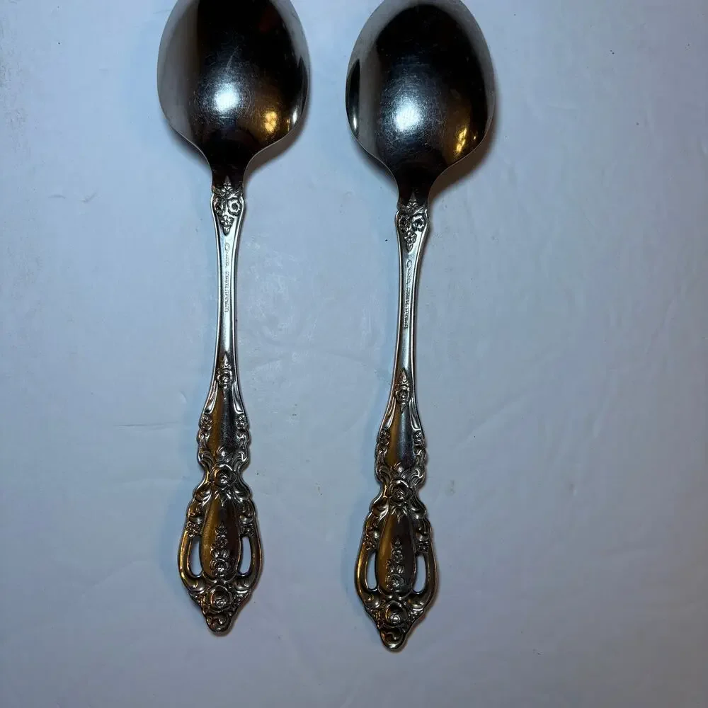 Set 2 Oneida RAPHAEL Stainless Distinction Deluxe Glossy Serving Spoons